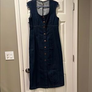 Cap sleeve Women's Denim Button-Down Madewell Dress size 12